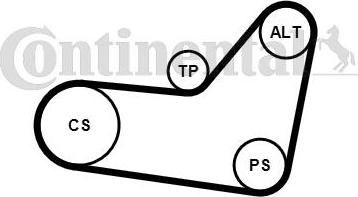 Continental CTAM 6PK1080K2 - Set curea transmisie cu caneluri parts5.com