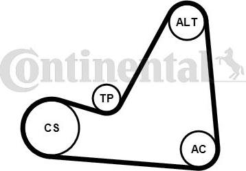 Continental CTAM 6PK1070K3 - Jeu de courroies trapézoïdales à nervures parts5.com