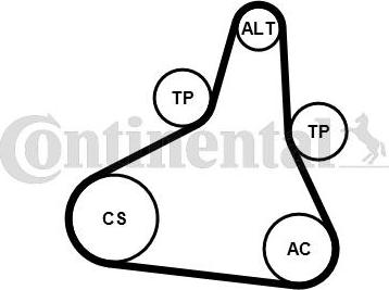 Continental CTAM 6PK1073 EXTRA K1 - Kanallı V kayışı seti parts5.com