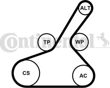 Continental CTAM 6PK1190K1 - Set curea transmisie cu caneluri parts5.com