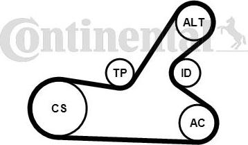 Continental CTAM 6PK1145K4 - Komplet klinastog rebrastog remena parts5.com