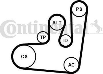 Continental CTAM 6PK1145K1 - V-Ribbed Belt Set parts5.com