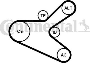 Continental CTAM 6PK1153K2 - V-Ribbed Belt Set parts5.com