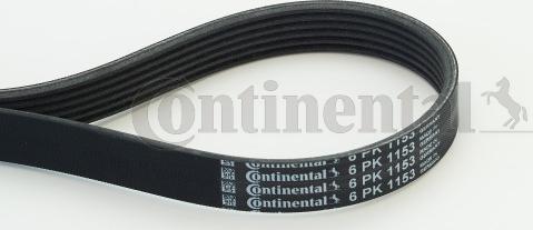 Continental CTAM 6PK1153 - Rebrasti jermen parts5.com