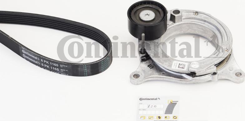 Continental CTAM 6 PK 1165 K1 - Set curea transmisie cu caneluri parts5.com