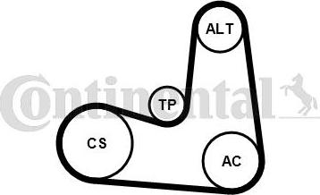 Continental CTAM 6PK1180K5 - Set curea transmisie cu caneluri parts5.com