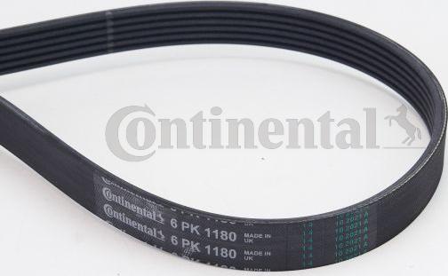 Continental CTAM 6PK1180 - Пистов ремък parts5.com