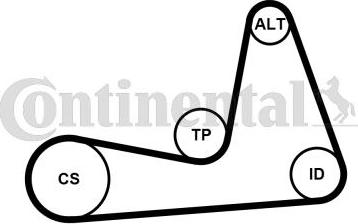 Continental CTAM 6PK1130K1 - Jeu de courroies trapézoïdales à nervures parts5.com