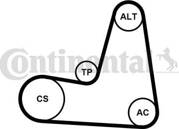 Continental CTAM 6PK1130K2 - Juego de correas trapeciales poli V parts5.com