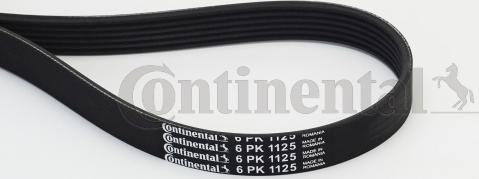 Continental CTAM 6PK1125 - Hosszbordás szíj parts5.com