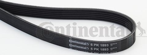 Continental CTAM 6PK1893 - Klinasti rebrasti kaiš parts5.com