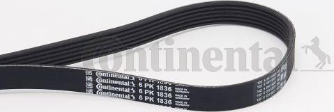 Continental CTAM 6 PK 1836 - Rebrasti jermen parts5.com