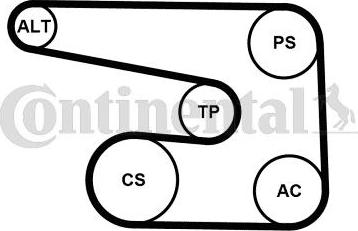 Continental CTAM 6PK1873K5 - Set curea transmisie cu caneluri parts5.com