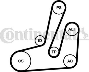 Continental CTAM 6PK1390K1 - Komplet rebrastega jermena parts5.com