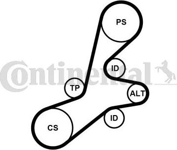 Continental CTAM 6PK1352K1 - Set curea transmisie cu caneluri parts5.com