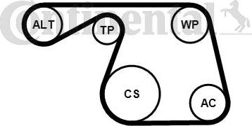 Continental CTAM 6PK1310K1 - Set curea transmisie cu caneluri parts5.com