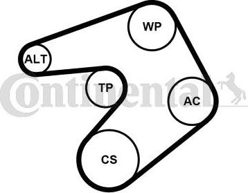 Continental CTAM 6PK1205K1 - Set curea transmisie cu caneluri parts5.com