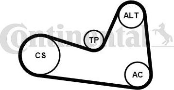 Continental CTAM 6PK1200K1 - V-Ribbed Belt Set parts5.com