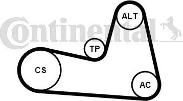 Continental CTAM 6PK1200K2 - Moniurahihnasarja parts5.com