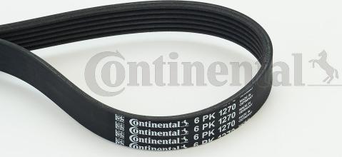 Continental CTAM 6PK1270 - Поликлиновой ремень parts5.com