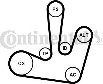 Continental CTAM 6PK1795K1 - Sada žebrovaných klínových řemenů parts5.com