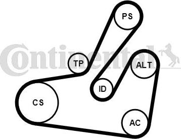 Continental CTAM 6PK1795K2 - Keilrippenriemensatz parts5.com