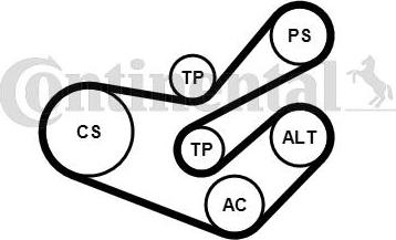 Continental CTAM 6PK1750K3 - Keilrippenriemensatz parts5.com