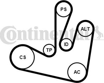 Continental CTAM 6PK1750K2 - Komplet rebrastega jermena parts5.com