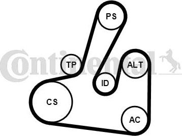 Continental CTAM 6PK1705K2 - Set curea transmisie cu caneluri parts5.com