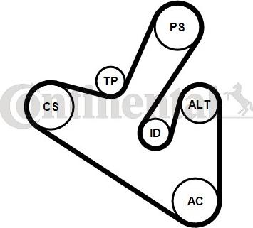 Continental CTAM 6PK1710K1 - Hosszbordás szíj készlet parts5.com