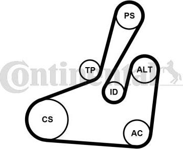 Continental CTAM 6PK1710K2 - Hosszbordás szíj készlet parts5.com