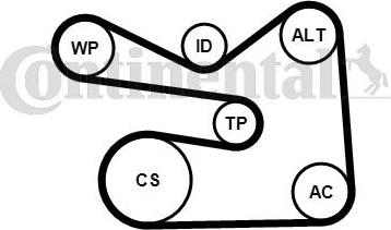 Continental CTAM 6PK1733K3 - Set curea transmisie cu caneluri parts5.com