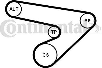 Continental CTAM 6PK1725K1 - Komplet klinastog rebrastog remena parts5.com