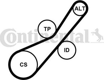 Continental CTAM 6PK800K2 - Set curea transmisie cu caneluri parts5.com