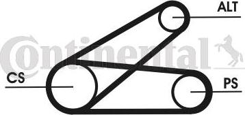 Continental CTAM 6PK873 ELAST T1 - Σετ ιμάντων poly-V parts5.com