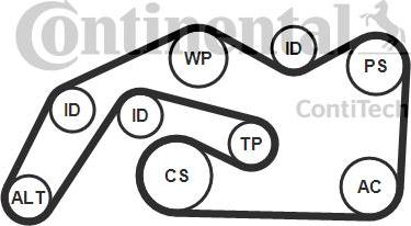 Continental CTAM 6 PK 2490 K1 - Komplet rebrastega jermena parts5.com