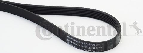 Continental CTAM 6PK2000 - Ιμάντας poly-V parts5.com