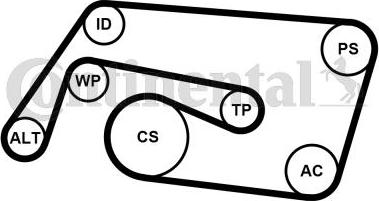 Continental CTAM 6PK2260K2 - Set curea transmisie cu caneluri parts5.com