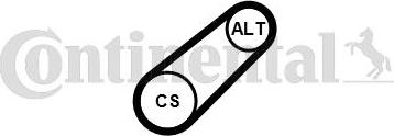 Continental CTAM 6 PK 799 ELAST - V-Ribbed Belt parts5.com