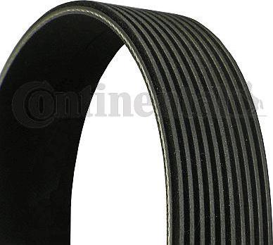 Continental CTAM 10 PK 1512 - Пистов ремък parts5.com