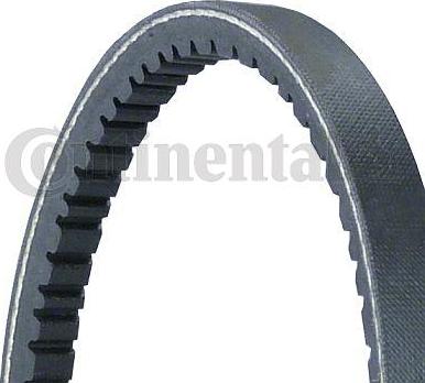 Continental CTAM 11,0X528Ld - Curea transmisie parts5.com