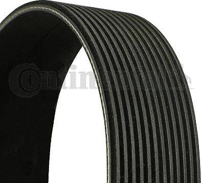 Continental CTAM 12 PK 1830 - V-Ribbed Belt parts5.com