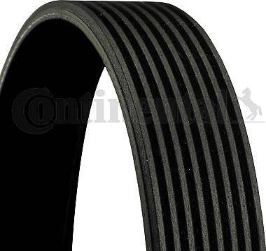 Continental CTAM 8 PK 1538 - V-Ribbed Belt parts5.com