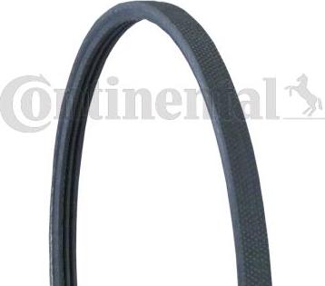 Continental CTAM 3PJ891 - Curea transmisie cu caneluri parts5.com