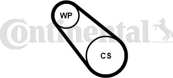 Continental CTAM 3PK576 ELAST WP2 - Pompa apa + Set curea transmisie cu caneluri parts5.com