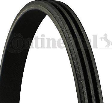 Continental CTAM 3PK820 - V-Ribbed Belt parts5.com