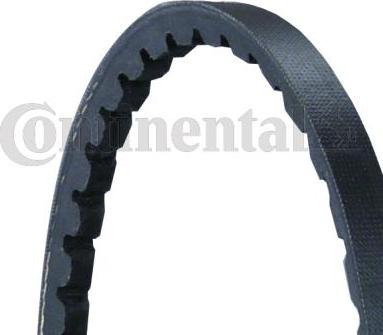 Continental CTAM AVX10X888 - Τραπεζοειδής ιμάντας parts5.com