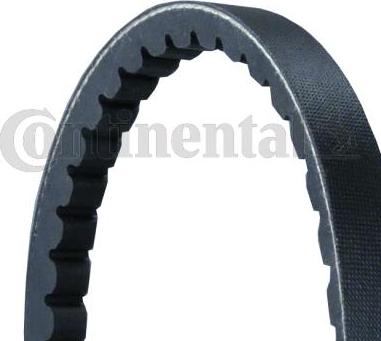 Continental CTAM AVX13X1350 - Curea transmisie parts5.com