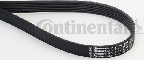 Continental CTAM 7 PK 1970 - Rebrasti jermen parts5.com