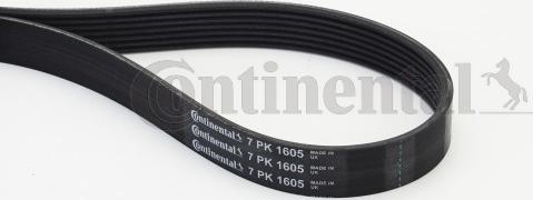 Continental CTAM 7 PK 1605 - V-Ribbed Belt parts5.com